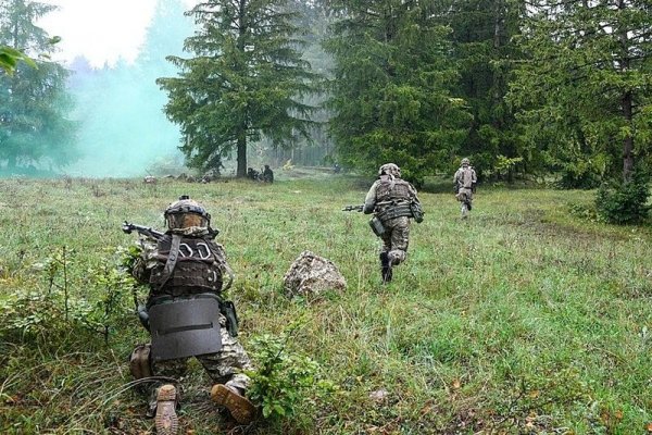 Кракен зеркало ссылка онлайн